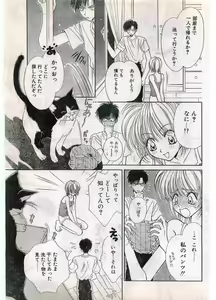 Page 21 of COMIC Papipo Gaiden 1998-07 - preview thumbnail
