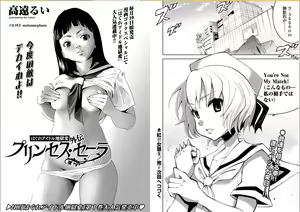 Haigure Idol Jigoku-hen Gaiden Princess Sara — hentai manga cover on Fhentai