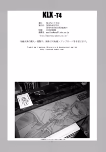 Page 21 of KLX-T4 - preview thumbnail