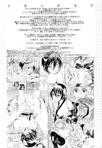 Page 3 of Nisenisekoi 6 - preview thumbnail