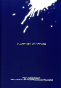 Page 2 of NIPPON P-TYPE - preview thumbnail
