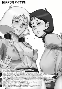 Page 3 of NIPPON P-TYPE - preview thumbnail