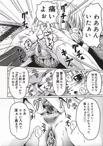 Page 22 of Shoujo no Himegoto - preview thumbnail