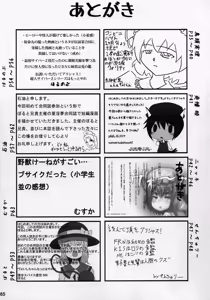 Page 64 of Touhou Natsu Inmu - preview thumbnail