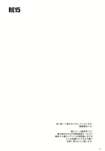 Page 3 of RE15 - preview thumbnail