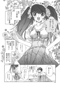 Page 33 of Freesia - preview thumbnail