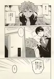 Page 2 of multipurpose toilet - preview thumbnail