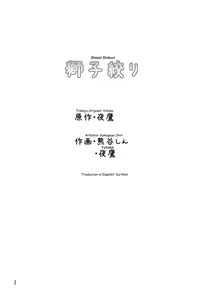 Page 3 of Shishi Shibori - preview thumbnail