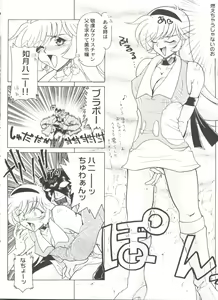 Page 22 of Aniparo Miki 8 - preview thumbnail