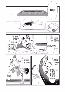 Page 3 of Shinmyoumaru VS Caucasus Ookabuto | 신묘마루 VS 코카서스 장수풍뎅이 - preview thumbnail