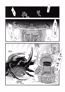 Page 4 of Shinmyoumaru VS Caucasus Ookabuto | 신묘마루 VS 코카서스 장수풍뎅이 - preview thumbnail