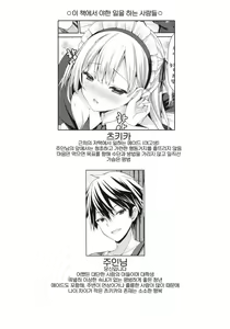 Page 3 of Ginpatsu + Maid (Goshujin-Sama + Kataomoi) Hatsutaiken ÷ Ecchi = Daisuki! - preview thumbnail