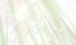 Page 58 of Tu Me Manques - preview thumbnail