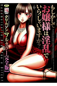 Moshikashite Ojou-sama wa Inran de Irasshaimasu ka? Full Color Kanzenban — hentai manga cover on Fhentai