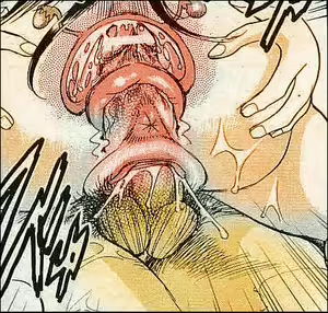 X-Ray Mix — hentai manga cover on Fhentai