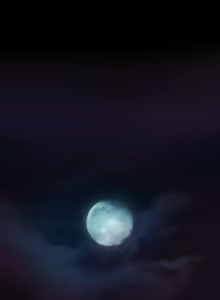 Page 79 of Canine Tooth Ch.1-10 - preview thumbnail