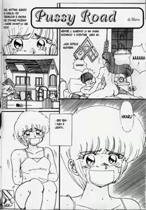Pussy Road — hentai manga cover on Fhentai