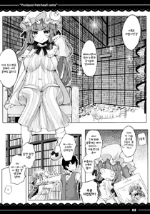 Page 3 of Punipuni Patchouli-sama | 말랑말랑 파츄리님 - preview thumbnail