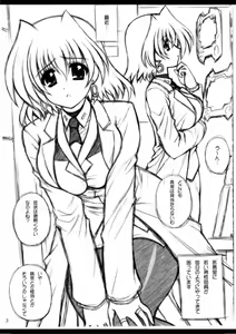 Page 3 of Y.D.M Ver.SH Limited Edition - preview thumbnail
