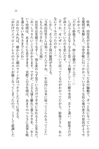 Page 25 of Motto Maid Narimasu! - preview thumbnail
