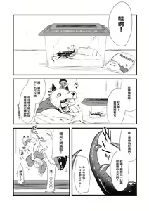 Page 3 of Shinmyoumaru VS Caucasus Ookabuto - preview thumbnail