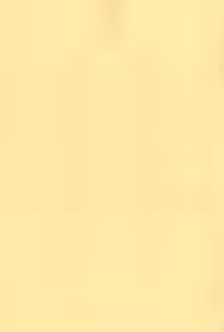 Page 3 of WHITE & WHITE - preview thumbnail