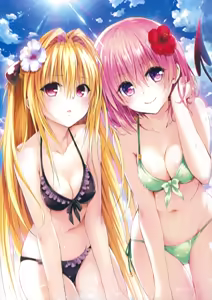 Page 14 of To Love-Ru -Trouble- Darkness Artbook Harem Gold - preview thumbnail