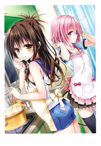 Page 48 of To Love-Ru -Trouble- Darkness Artbook Harem Gold - preview thumbnail