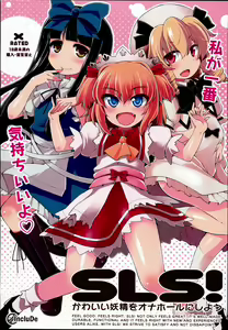 SLS! Kawaii Yousei o Onahole ni Shiyou - hentai manga cover image