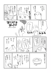 Page 3 of Torotoro de Meromero na - preview thumbnail