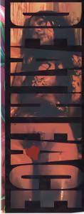 Page 193 of Death Face - preview thumbnail