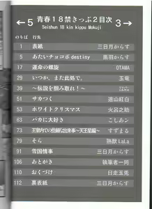 Page 3 of Seishun 18kin Kippu 3 - preview thumbnail