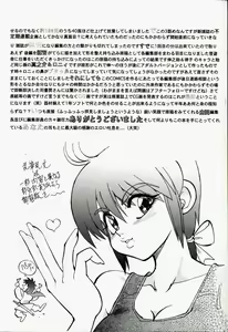 Page 4 of Gaman Report - preview thumbnail
