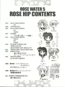 Page 3 of Rose Water 5 Rose Hip - preview thumbnail