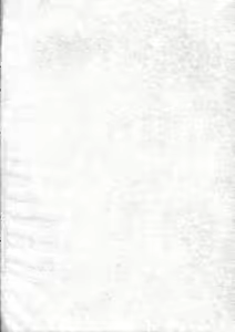 Page 4 of EXUP 9 - preview thumbnail