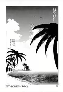 Page 66 of T-ZONE - preview thumbnail