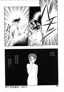 Page 88 of T-ZONE - preview thumbnail