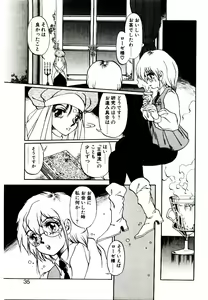 Page 33 of Seiken Butou Gishi Aura - preview thumbnail