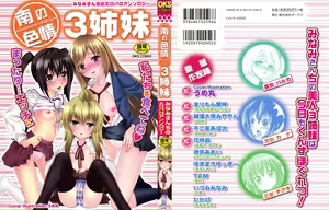 Minami no Shikijou 3 Shimai -Minamisanchi no Eroparo Anthology- - hentai manga cover image