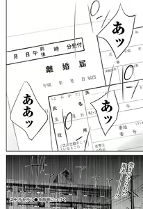 Page 373 of Netoraserare - preview thumbnail