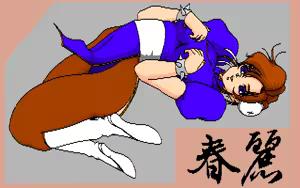 Page 48 of Chun Li CG Library 1and2 - preview thumbnail