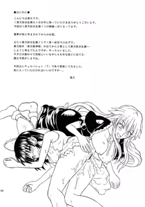 Page 4 of Touhou Youjo Ranbu 8 | Touhou Enchantresses' Dance 8 - preview thumbnail