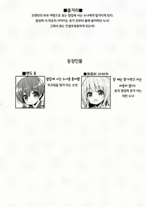Page 3 of Onee-san no Heya ni Hitoban dake | 누나의 방에서 하룻밤만 - preview thumbnail